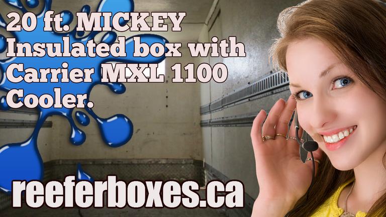 MICKEY 20 ft refrigerated box, REEFER Van Body Truck Box Sales Toronto Ontario.