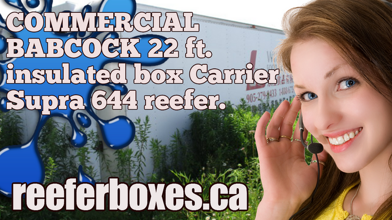 COMMERCIAL BABCOCK 22 ft refrigerated box, REEFER Van Body Truck Box Sales Toronto Ontario.