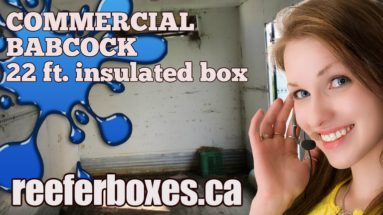 COMMERCIAL BABCOCK 22 ft refrigerated box, REEFER Van Body Truck Box Sales Toronto Ontario.
