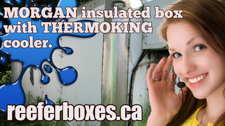 MORGAN 20 ft refrigerated box, REEFER Van Body Truck Box Sales Toronto Ontario.
