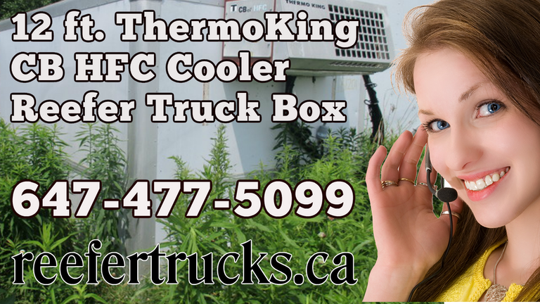 THERMOKING 12 ft refrigerated box, REEFER Van Body Truck Box Sales Toronto Ontario.